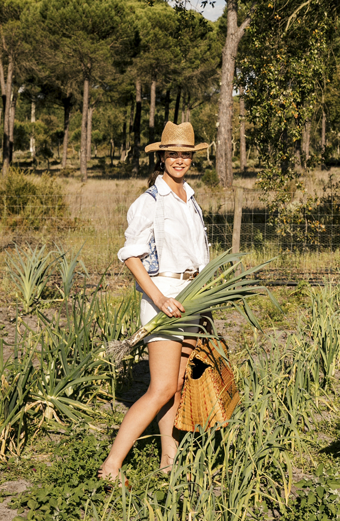 Hola Living Hola Living