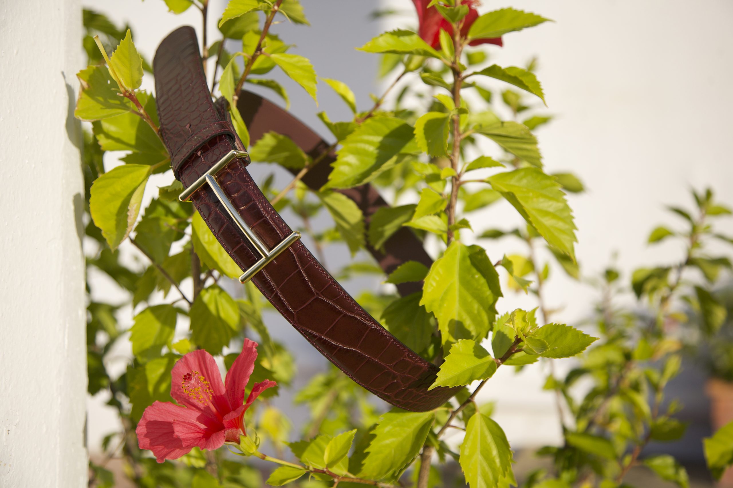 Lo que dice el color de tu cinturón